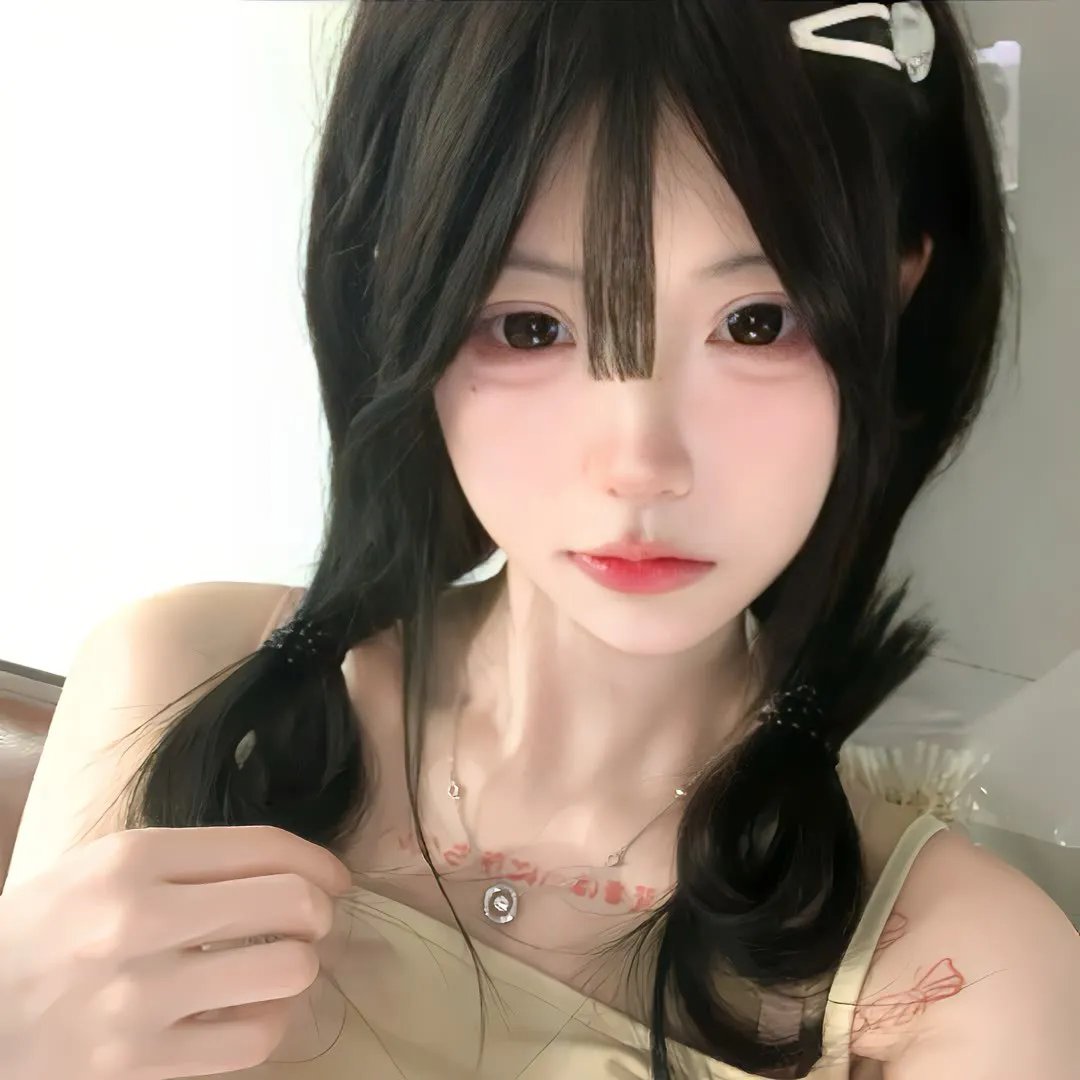 鱼与猫